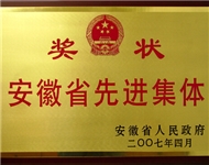 07年省先进集体奖牌