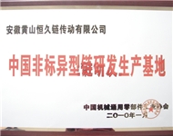 10年 中国非标异型链研发生产基地牌