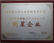 12年 行业明星企业奖牌