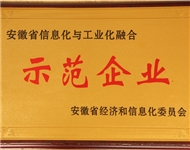 12年 两化融合示范企业