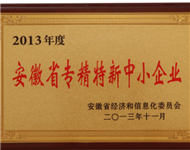 13年 省专精特新中小企业