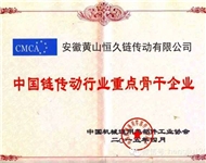 14年 行业重点骨干企业证书