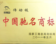 11年 中国驰名商标
